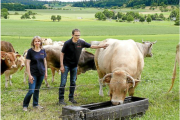 Besuch auf der Weide